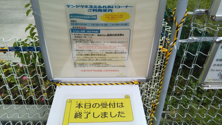天王寺動物園 ふれあいコーナー