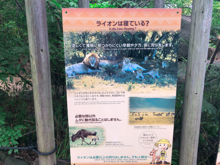 天王寺動物園 ライオン 看板