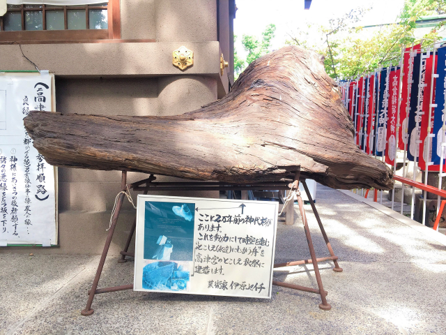 高津宮12