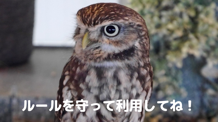 ルールを守って利用してね